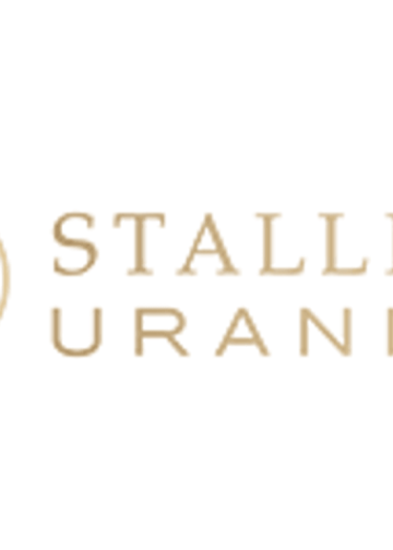 Stallion Uranium Announces Completion of Ground Gravity Extension Survey over Coyote Corridor