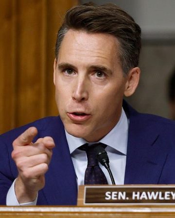 Hawley targets Minnesota fraud, CCP-linked money at Senate hearing: ‘Taxpayers robbed blind’